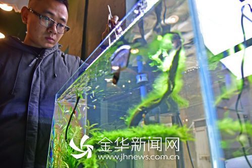 超白玻璃魚缸 超白玻璃魚缸